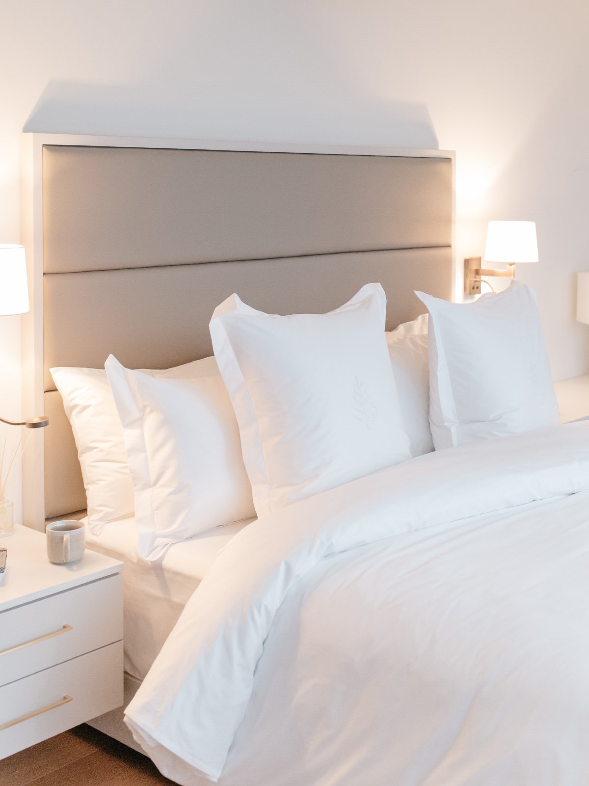 Down & Feather Euro Pillow