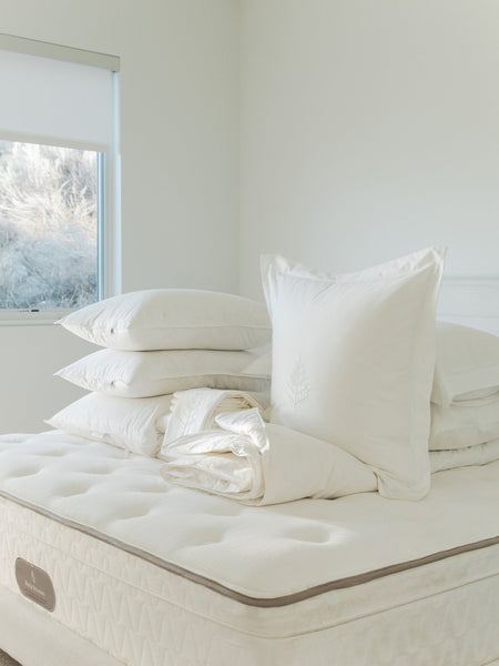 Signature Mattress